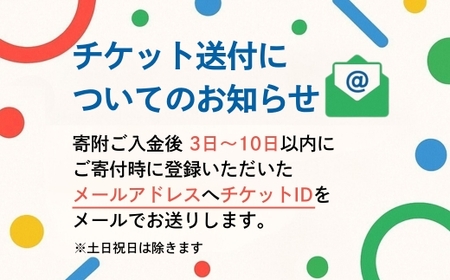 2025年日本国際博覧会チケット　夜間券（中人）【ふるさと納税】【夜間券】 2025年日本国際博覧会 大阪・関西万博 チケット 中人 1名分 大阪府 河内長野市 電子チケット EXPO 2025 関西