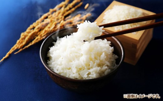 米 お米 ご飯 ごはん 白米 お弁当 朝食 常温