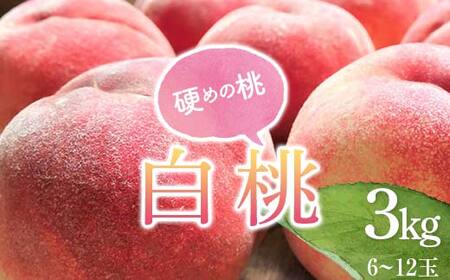 《2026年産先行受付》 山形県産 白桃 秀品 3kg 品種おまかせ 硬めの桃 あまり柔らかくならない桃 もも モモ 桃 デザート フルーツ 果物 くだもの 果実 食品 山形県 FSY-2515