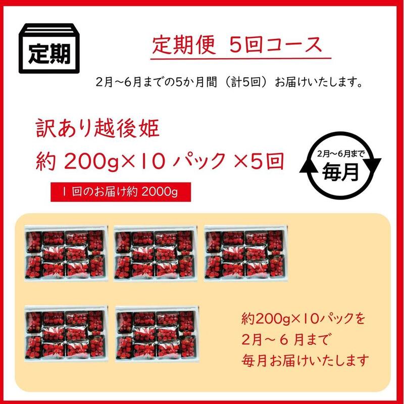 定期便 5回【2025年2～6月発送】訳あり越後姫 約200g×10定期配送 越後姫 えちごひめ 苺 いちご 訳あり 新潟