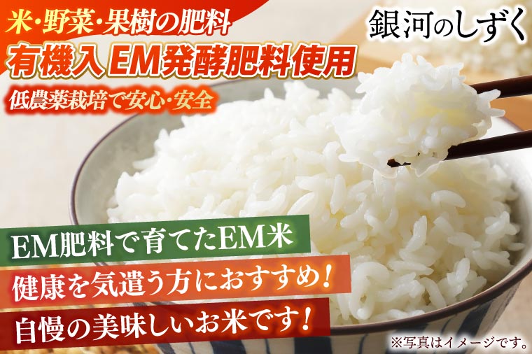 【新米】令和6年産 銀河のしずく 20kg (精米) 低農薬栽培米 生産者直送 (EI004)