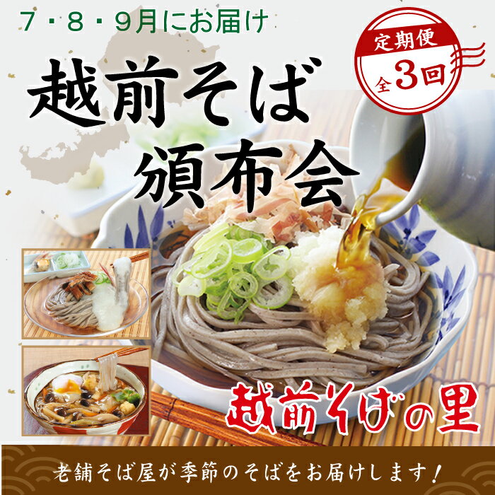 【ふるさと納税】【3回定期便：2026年7月スタート】楽天そばランキング常連 越前そばの里 毎月違う「越前そば」が届く お楽しみ頒布会 送料無料 福井県 越前市 そば 越前そば （18209）