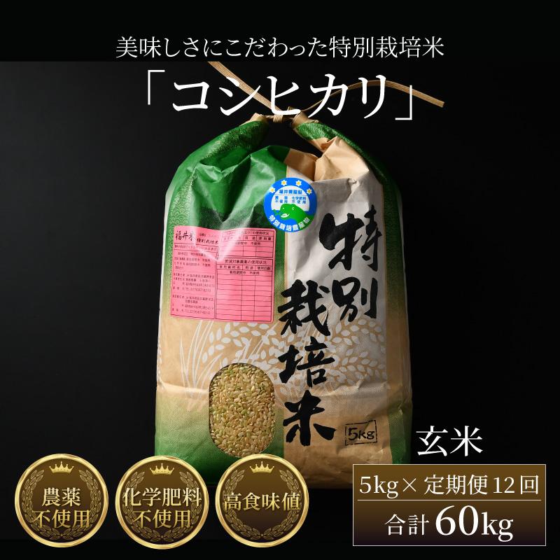 【令和6年産 新米】《定期便12回》コシヒカリ 玄米 5kg （計60kg）特別栽培米 農薬不使用 化学肥料不使用 ／ 高品質 鮮度抜群 福井県産 ブランド米