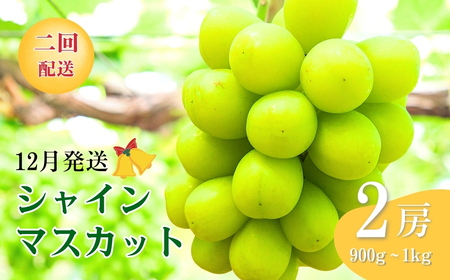 クリスマス・お正月用シャインマスカット２回お届け｜ シャインマスカット