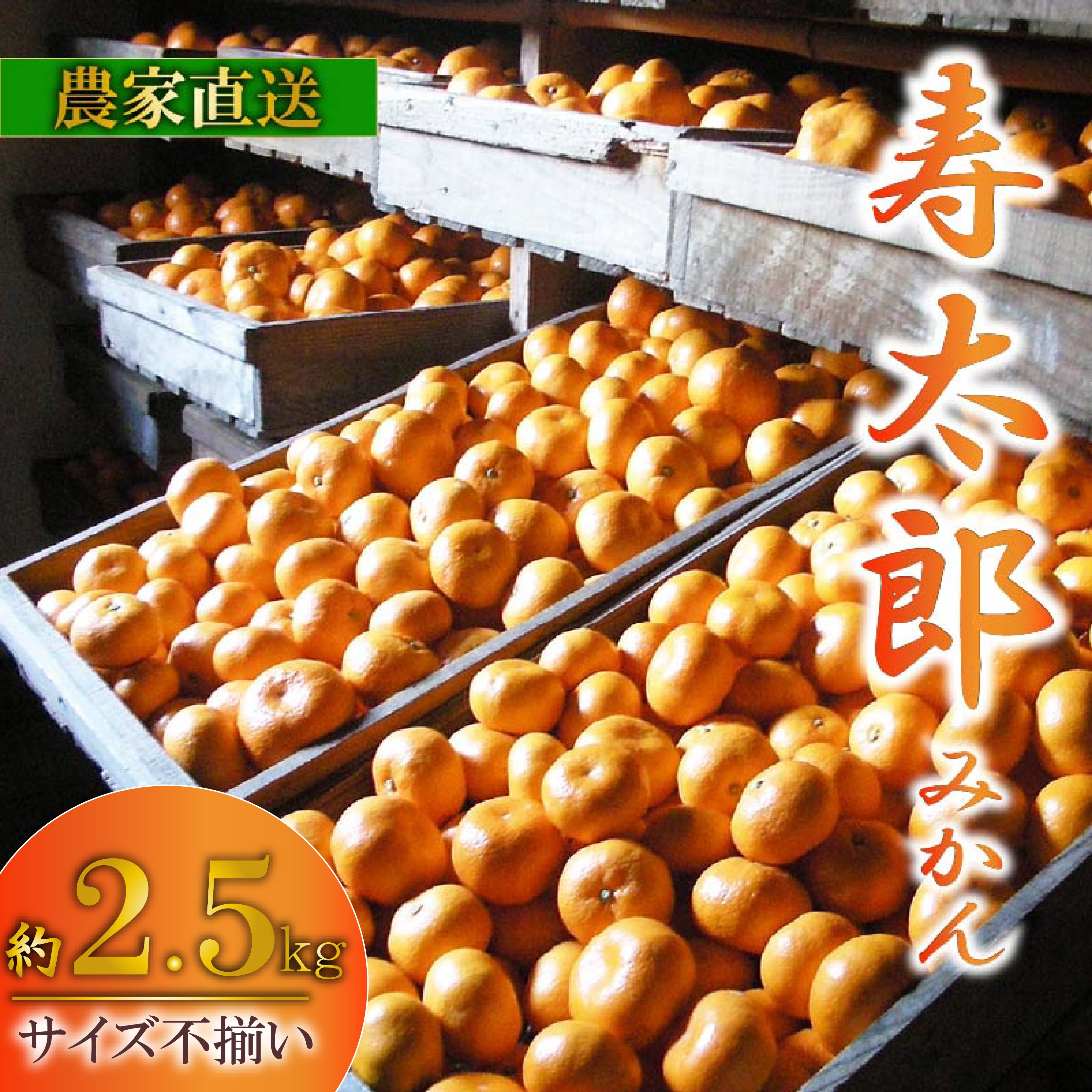 
                  訳あり 寿太郎 みかん 約 2.5kg 産地直送 柑橘 訳アリ フルーツ 果物 蜜柑 オレンジ 寿太郎みかん ミカン ご家庭用 沼津 静岡
                
