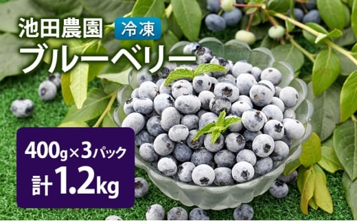 冷凍 ブルーベリー 1.2kg (400g×3パック) 北海道産 フルーツ 果物 旬のフルーツ 旬の果物 くだもの 北海道 芦別市 [№5342-0798]