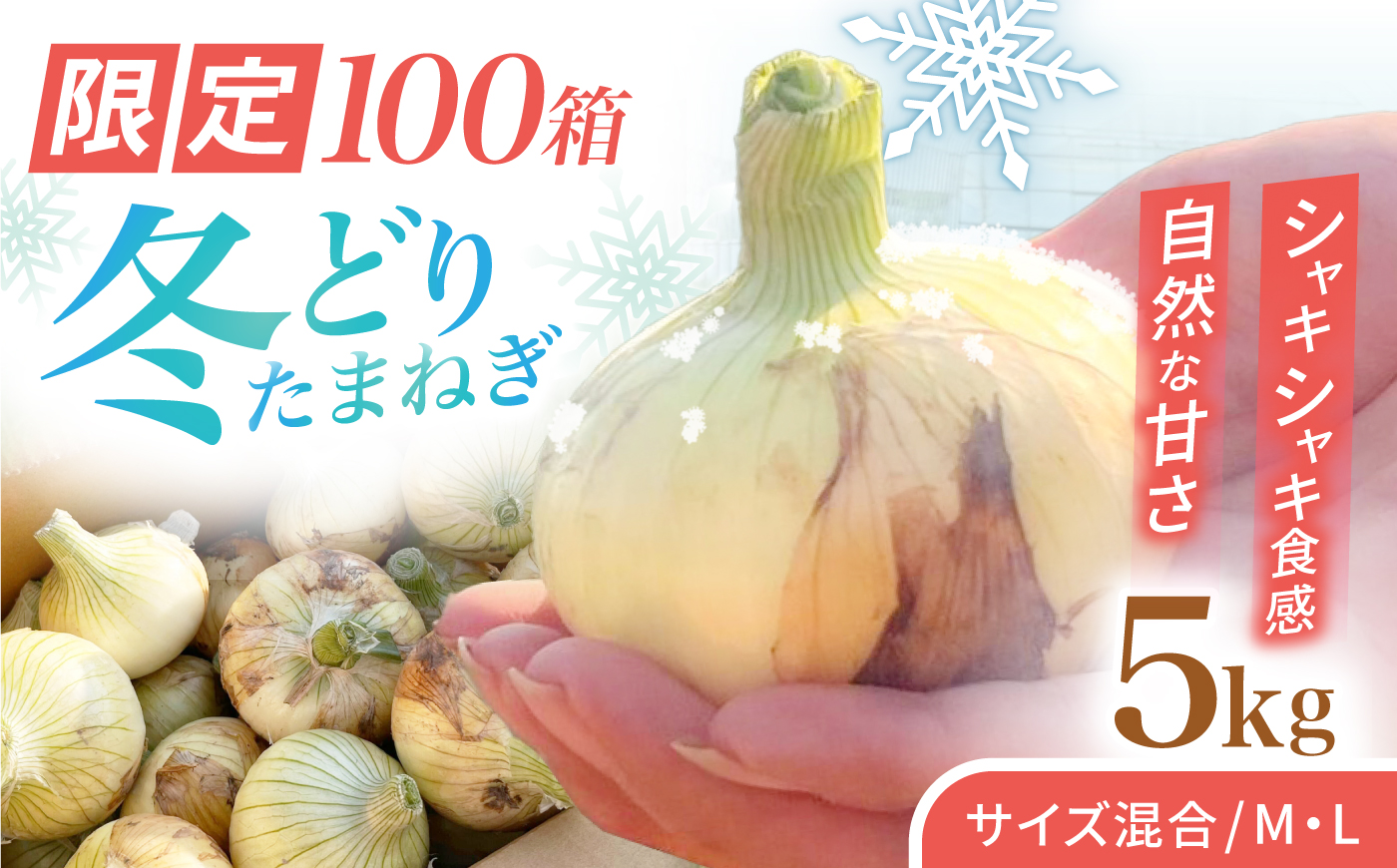 【先行予約 2027年1月～発送】種から栽培するこだわり！冬どりたまねぎ5kg【藤武農産】 [IDM002]