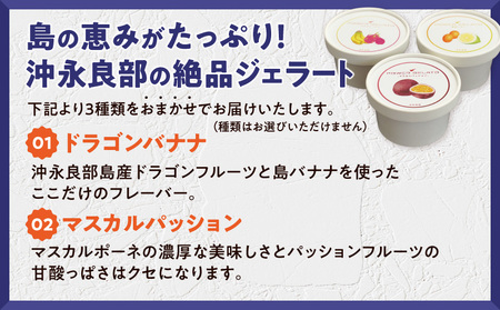 POWER GELATO（ 季節限定セット 6個入り ） C073-003-01 ジェラート 菓子 お菓子 デザート スイーツ ドラゴンバナナ マスカルパッション マスカルグァバ 金柑レモン いずれか