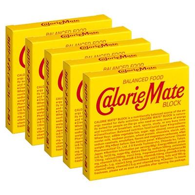 ふるさと納税 那賀町 カロリーメイトブロック　チョコレート味　4本入　30箱