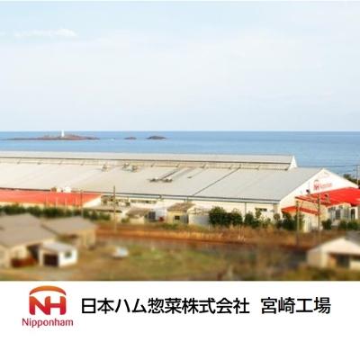 ふるさと納税 日向市 角煮(トンポーロー)　115g×12 |  | 01