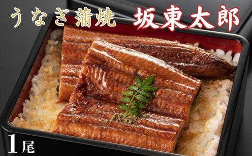 うなぎ　坂東太郎　蒲焼　1尾 ／ うなぎ 鰻 ウナギ 蒲焼 蒲焼き 坂東太郎 国産 千葉県 東庄町 送料無料