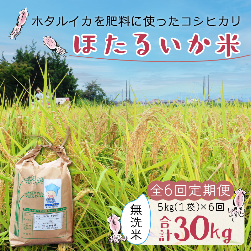 【訳あり】ほたるいか米（無洗米5kg）×6回計30kg【6カ月定期便】 [F-021001]