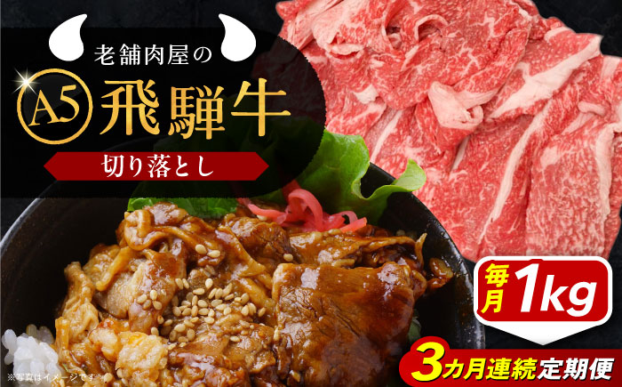 【3回定期便】 飛騨牛 切り落とし肉 A5ランク 1kg 和牛 国産 霜降り 恵那市 / 岩島屋 [AUAJ033]