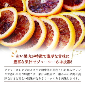 希少な柑橘!紀州有田産ブラッドオレンジ約3kg 【ご家庭用】※2024年4月上旬頃～4月中旬頃に順次発送 (お届け日指定不可) 【uot771】
