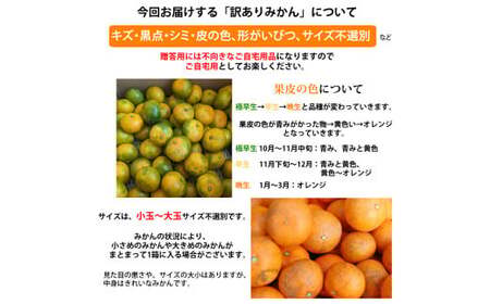 訳あり みかん 計10kg ミカン 蜜柑 果物 くだもの フルーツ 柑橘 【2026年10月上旬～2027年3月上旬発送予定】