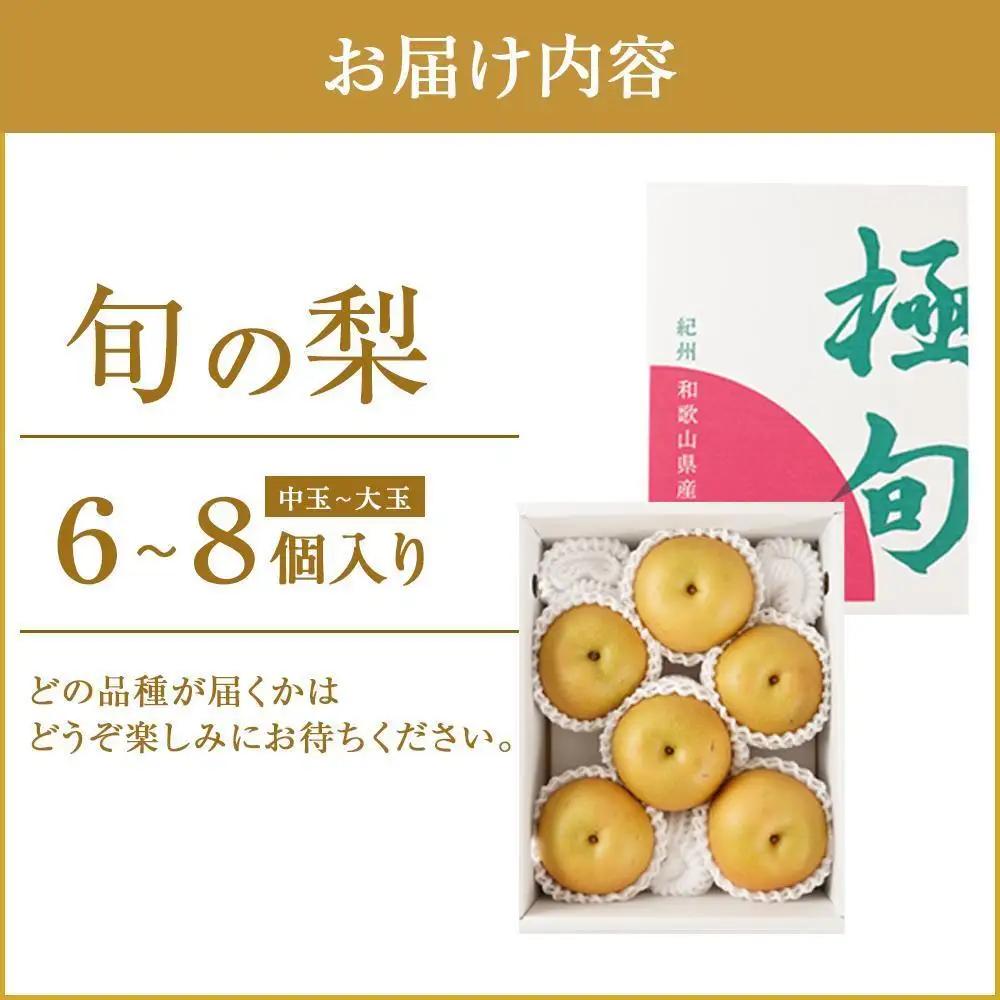〈先行予約〉梨 秀品 （中玉～大玉）6～8個入り 梨