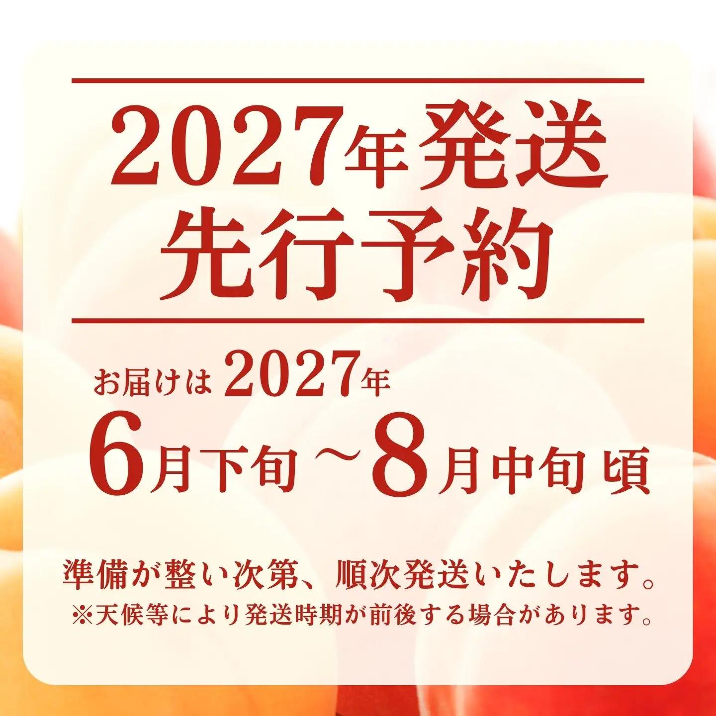 【2027年　先行予約】日本一の産地山梨県産　朝採れカターい桃 約２Kg（5～8玉）｜もも フルーツ