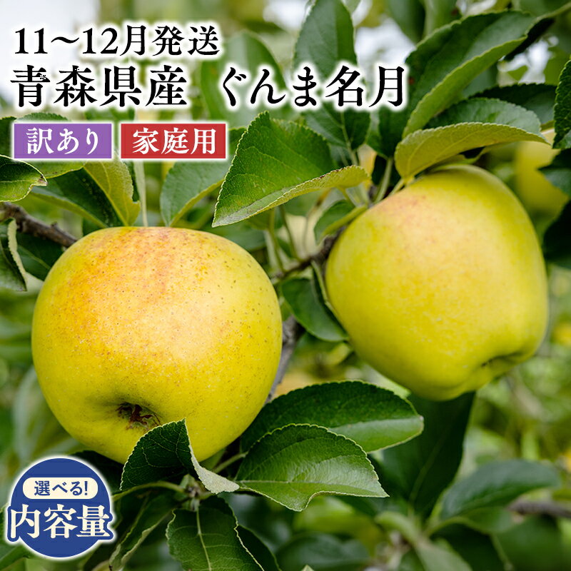 【ふるさと納税】≪内容量が選べる≫ 2026年11月～12月発送 青森県産 訳あり 家庭用 ぐんま名月 2kg 3kg 5kg 【 青森県 平川市 原田農園 】 青森 青森県産 平川 りんご リンゴ 林檎 くだもの 果物 フルーツ レビューキャンペーン