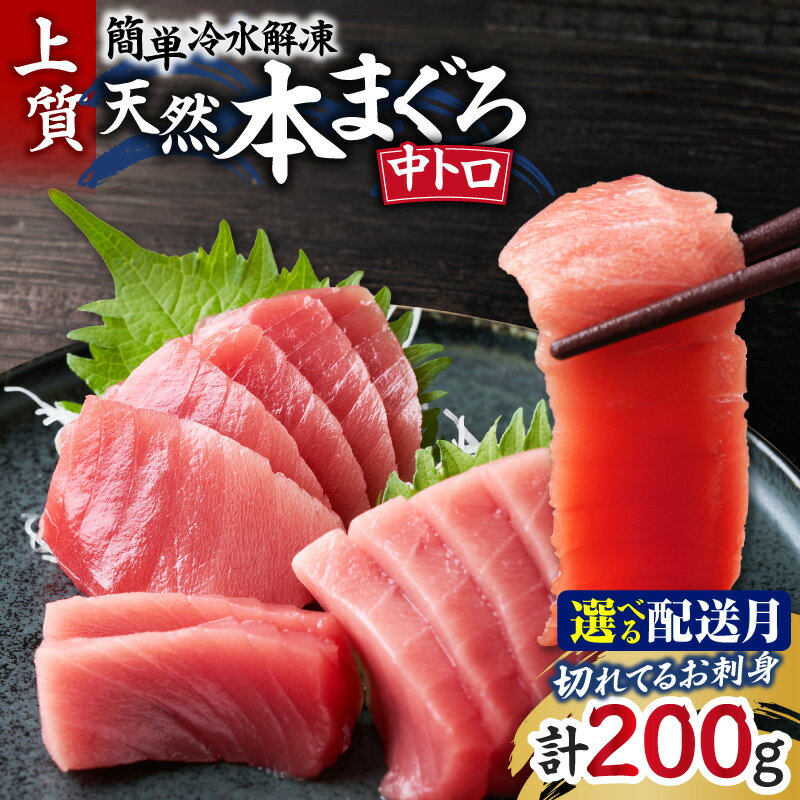 【ふるさと納税】＜選べる配送時期＞ 切れてるお刺身 天然 本まぐろ 中トロ 200g 簡単 冷水解凍 まぐろ マグロ 鮪 本鮪 カット済 刺身 三崎 三崎港 海鮮 魚 魚介 母の日 父の日 敬老の日 湊魚問屋 神奈川 三浦市 おすすめ ランキング プレゼント ギフト