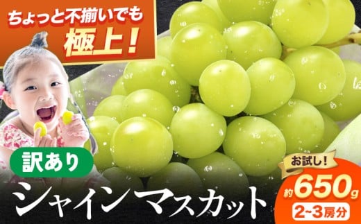 シャイン 訳あり シャインマスカット 約650g 《2026年8月上旬-8月下旬頃出荷》訳あり シャインマスカット マスカット ぶどう フルーツ 果物 大阪府 羽曳野市 シャイン 食べやすい