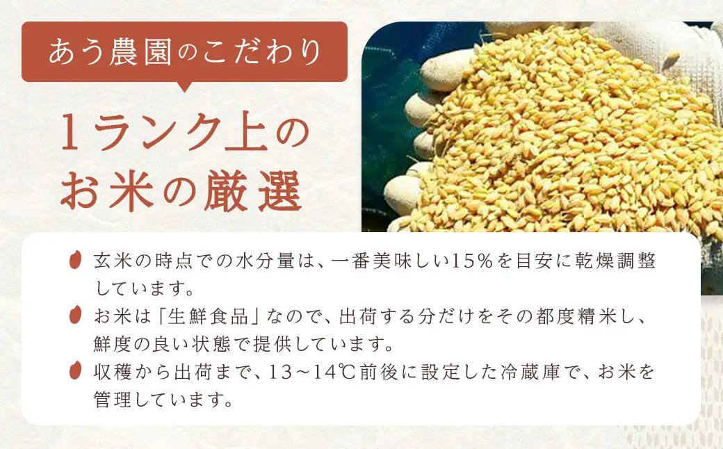 【令和7年産】ひめの凜プレミアム 5kg 米 お米 白米 ご飯 ごはん 飯 愛媛県 【えひめの町（超）推し！（鬼北町）】（389-2）