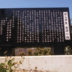 ▼和歌山 由良町産 由良早生みかん 5kg 訳あり キズ 御家庭用 サイズ混合  【sml003-yura-c5】