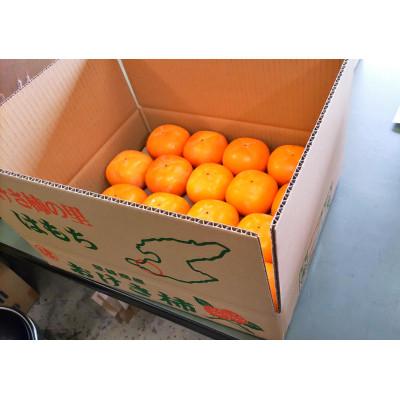 ふるさと納税 佐渡市 【先行予約】おけさ柿赤秀Lサイズ18玉　種なし |  | 02