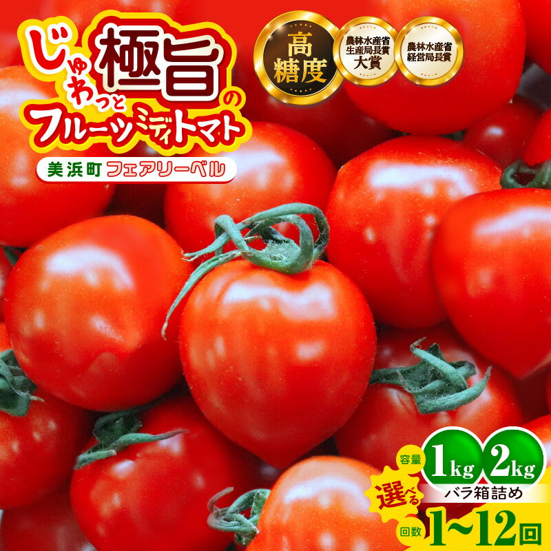 【ふるさと納税】じゅわっと極旨のフルーツミディトマト (バラ箱詰め)【選べる容量／回数】 【 とまと トマト フルーツトマト ミニトマト トマトジュース 野菜 やさい 人気 新鮮 産地直送 甘い 高糖度 完熟 食べやすい リコピン ビタミン ダイエット 美容 美肌 】
