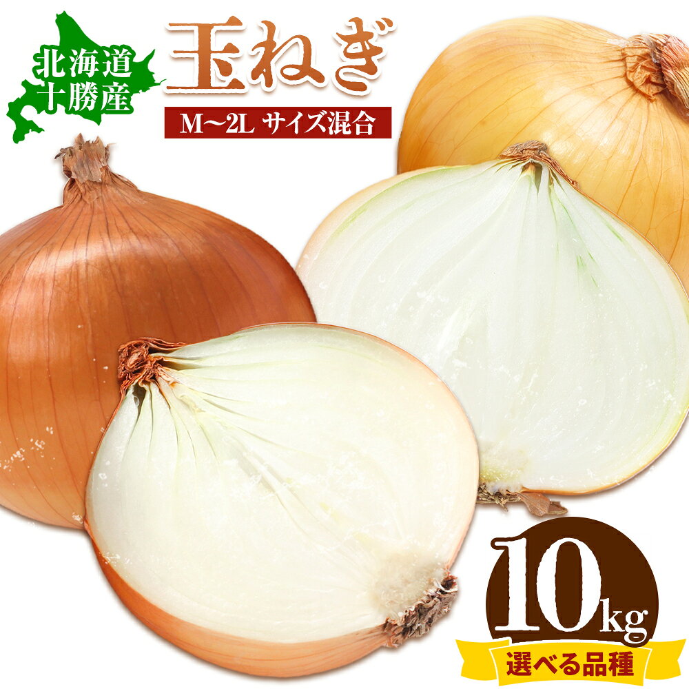 【ふるさと納税】玉ねぎ 10kg 選べる品種 パワーウルフ 北もみじ2000 山下農場《2026年9月中旬-10月末頃出荷》 北海道 本別町 たまねぎ タマネギ 万能 北海道産