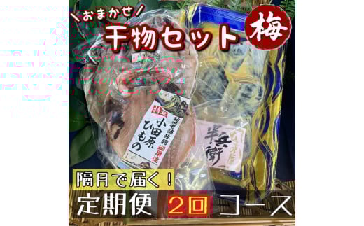 【隔月定期便2回】厳選！小田原の旬の干物セット 梅【 まぐろや 神奈川県小田原市 】