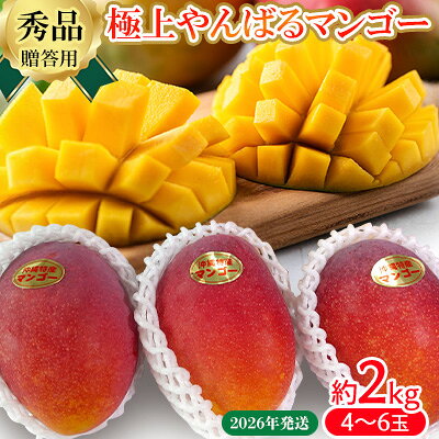 【ふるさと納税】2026年発送【贈答用】極上やんばるマンゴー約2kg【秀品】 完熟 マンゴー 先行予約 冷蔵 大玉 家庭 贈答用 スイーツ スムージー プリン フルーツジュース 国産 フルーツ 果物 果実 南国 沖縄 ギフト 贈り物 プレゼント