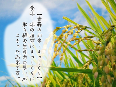 青森県鰺ヶ沢町【令和5年産・新米】【定期便】 3ヶ月連続でお届け まっしぐら〔無洗米〕5kg（5kg×１袋）※令和5年11月中旬から順次出荷予定