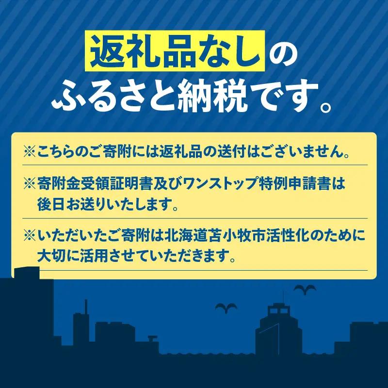 北海道 苫小牧市 応援寄附金 （ 返礼品なし ） 1,000円 T000-001-01 応援 返礼品無