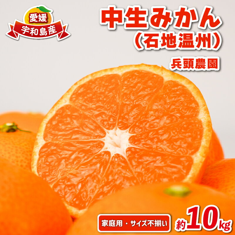 【ふるさと納税】 愛媛みかん 中生みかん 石地温州 10kg 家庭用 サイズ 不揃い 兵頭農園 なかて みかん いしじ mikan 愛媛ミカン 愛媛蜜柑 温州 温州みかん 不揃い 果物 くだもの フルーツ 柑橘 蜜柑 産地直送 農家直送 数量限定 国産 愛媛 宇和島 B012-055005