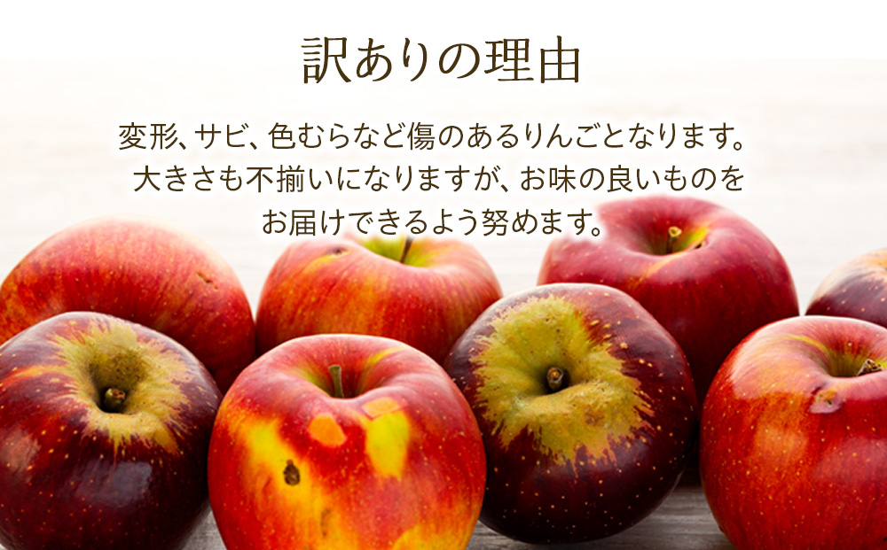 【2024年/令和6年度発送分！先行予約】パリッとした食感のシナノゴールド訳あり　約5kg