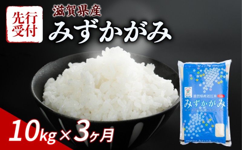 
                  【令和8年産】 先行予約 新米 みずかがみ 10kg (5kg×2) 3ヶ月定期便 令和8年産 米 こめ ご飯 米 定期便 3回定期便 3か月定期便 3回 3か月 10キロ 令和8年 滋賀 彦根
                