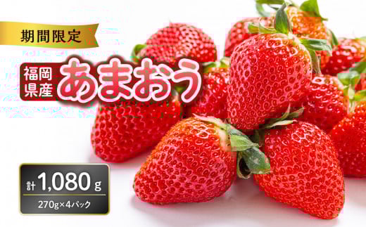 福岡県産あまおう 270g×4パック【2026年3月発送開始】 あまおう いちご 苺 イチゴ フルーツ 果物 くだもの 人気 旬 福岡県産 270g 4パック 産地直送 冷蔵配送 クール便 先行予約 期間限定 福岡県 八女市