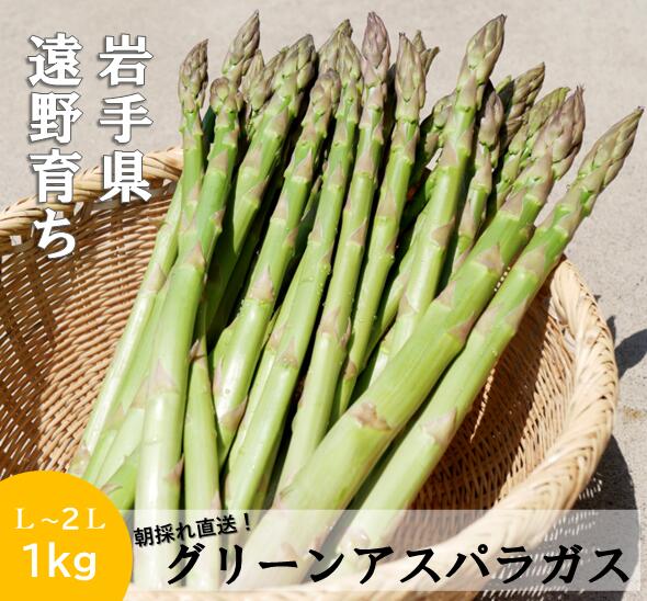 【ふるさと納税】アスパラガス 1kg 岩手県 遠野市 産 採れたて グリーン アスパラ 新鮮 L / 2L サイズ 混載 太い 甘い 生 アスパラガス こんたでぃーの遠野 発送 先行 予約 農家直送 ギフト 新鮮 旬 仕送り 料理 お弁当 パスタ ソテー 産地直送