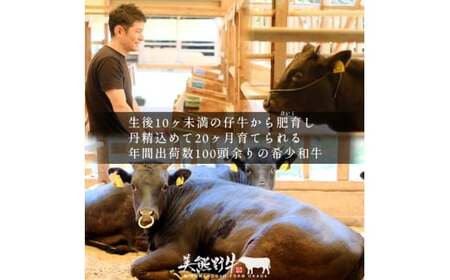美熊野牛 サーロインステーキ 約300g×1枚 牛肉 国産牛【okad0009】