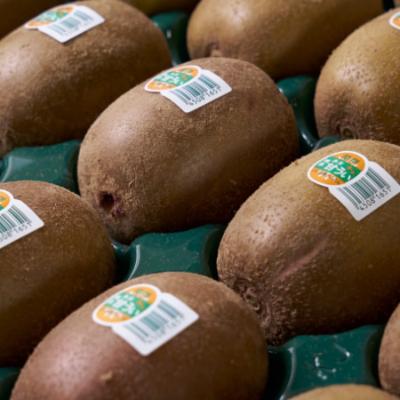 ふるさと納税 朝倉市 福岡限定!ブランドキウイ「甘うぃ(あまうぃ)」約1.5kg箱(12-15玉)(朝倉市) |  | 02