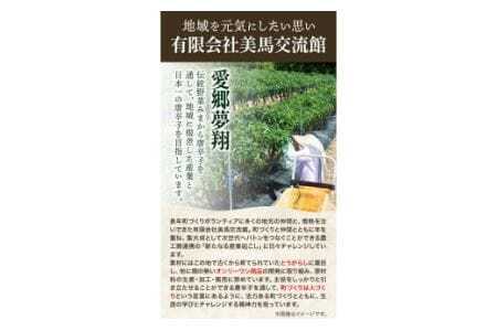 【先行予約】激辛薬味みまから みまから 3個 