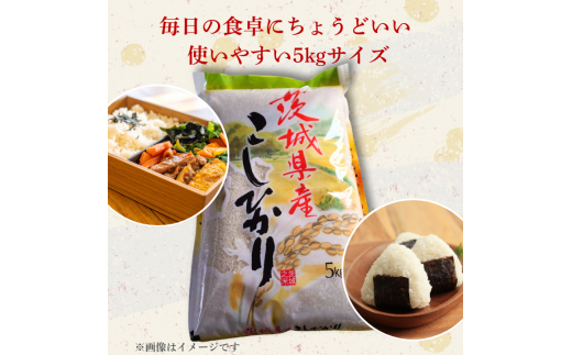 【12カ月定期便】コシヒカリ 5kg（茨城県共通返礼品・城里町産） / 米 こめ コメ お米 おこめ コシヒカリ こしひかり 白米 精米 ごはん ご飯 令和7年産 5kg 定期便 茨城県 城里町 利根