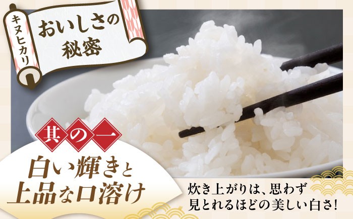 近江米 キヌヒカリ きぬひかり 滋賀県産 国産 5kg 米 コメ お米 白米 ご飯 おにぎり ご飯のお供 カレー 丼