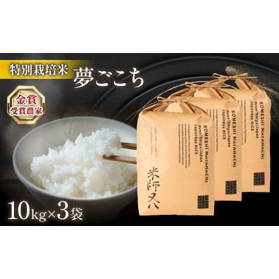 ふるさと納税 竜王町 令和8年産 夢ごこち 10kg×3袋 金賞受賞農家 若井農園 WN012