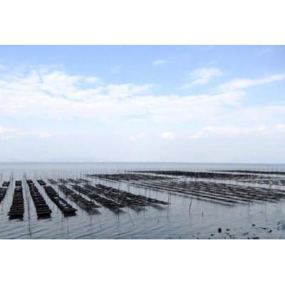 ふるさと納税 島原市 有明海産 焼のり 『たべたいな〜 朝ごはん』(8切5枚)×20束 DF125 |  | 03