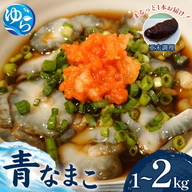 【ふるさと納税】＼先行予約／活 なまこ 青なまこ 1kg 2kg 【2025年12月20日より順次発送】 | ナマコ 海鮮 海の幸 新鮮 なまこ酢 刺身 珍味 漁師直送 産地直送 塩辛 天然 郷土料理 海産物おすすめ 特産 ふるさと納税 和歌山 由良町 //best //kaisen