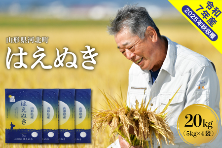 【令和7年産米】2026年7月上旬発送 はえぬき20kg（5kg×4袋） 山形県産 【米comeかほく協同組合】