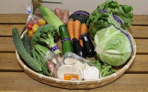 
季節の野菜3回セット
