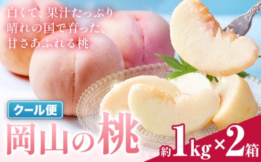 ＼豊作につき特別寄附額／ 今なら7月発送 来月なら8月中にすぐ届く！ 岡山の桃 約1kg × 2箱 《1-5営業日出荷》岡山県 笠岡市 白桃 岡山 はくとう スイーツ フルーツ 果物 旬 モモ もも 果物 清水白桃 白鳳 クール便