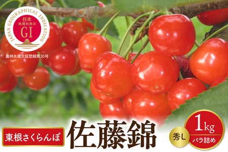 【先行予約】2026年産 GI東根さくらんぼ佐藤錦 秀L 1kgバラ詰め(500g×2P) 株式会社晴天畑提供 hi026-049 果物 くだもの フルーツ さくらんぼ サクランボ チェリー 佐藤錦 お取り寄せ グルメ ご当地 産地直送 送料無料 東北 山形県 東根市